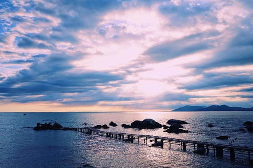 致敬白衣天使，亞龍灣海底世界景區與中惠旅智能旅游推出專項優惠政策